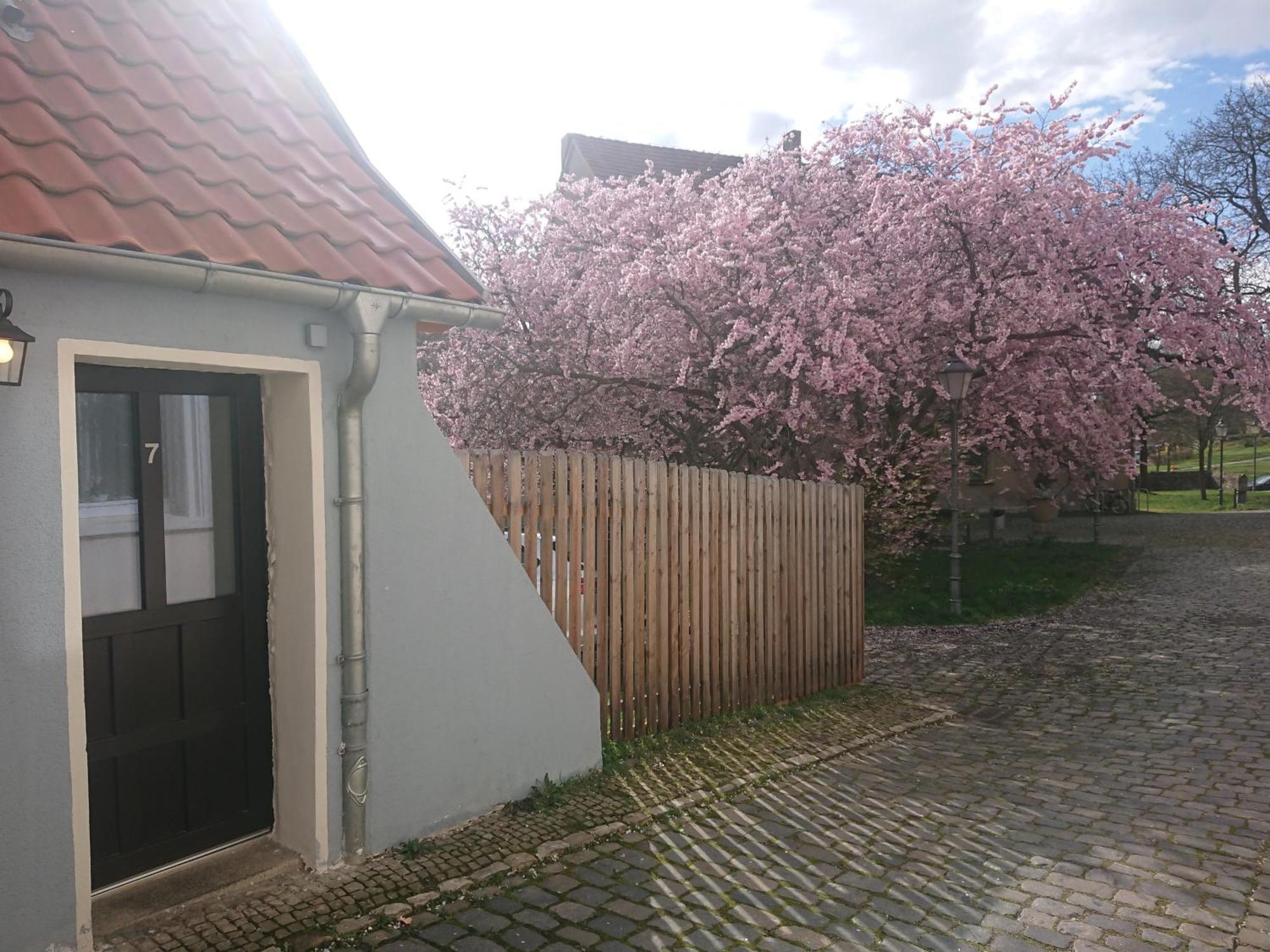 Ferienhaus อัสเชิร์สเลเบน ภายนอก รูปภาพ